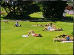 Sunbathers on the Grass